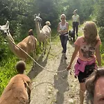 Naturidyll Brunner * Kostendorf (Carinthia)
