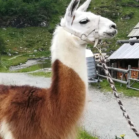 Naturidyll Brunner Apartamento *