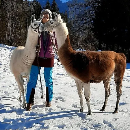 Naturidyll Brunner Appartamento *
