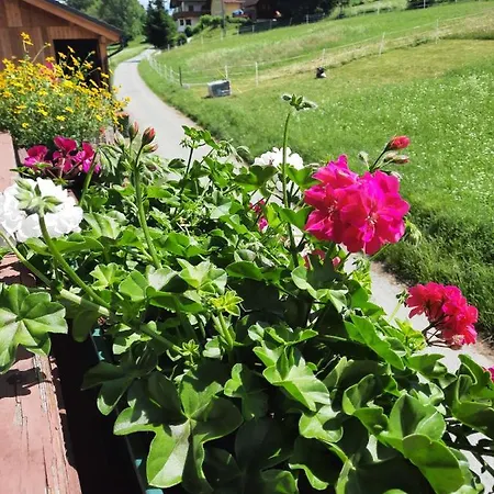 Naturidyll Brunner Apartamento Kostendorf (Carinthia)