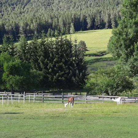 Naturidyll Brunner Apartamento *