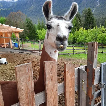 Apartamento Naturidyll Brunner *