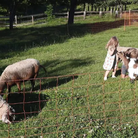 Naturidyll Brunner Apartamento Kostendorf (Carinthia)