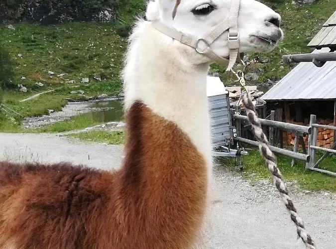 Naturidyll Brunner Διαμέρισμα *