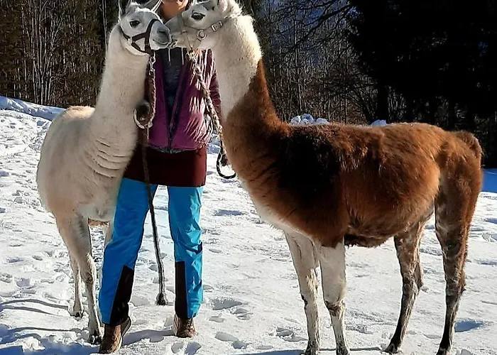 Naturidyll Brunner Διαμέρισμα *