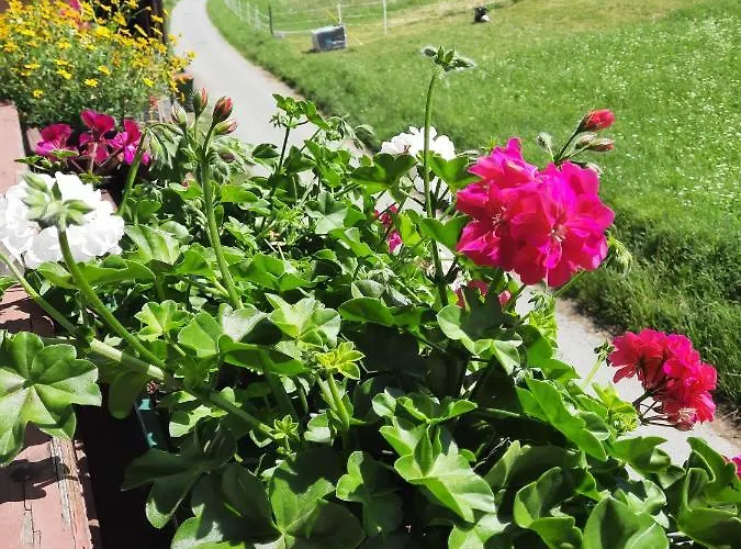 Naturidyll Brunner Διαμέρισμα Kostendorf (Carinthia)