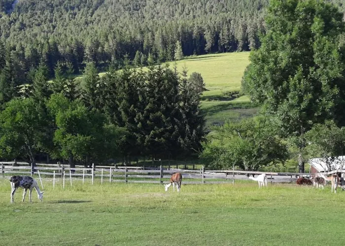 Naturidyll Brunner Διαμέρισμα *