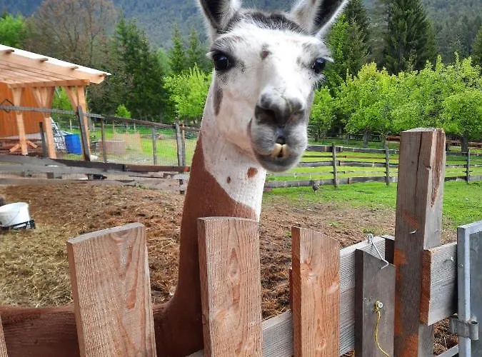 Διαμέρισμα Naturidyll Brunner *