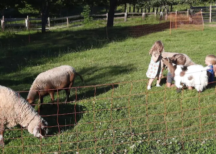 Naturidyll Brunner Διαμέρισμα Kostendorf (Carinthia)